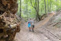 Thalmaessing - Wandern, Keltenschanze